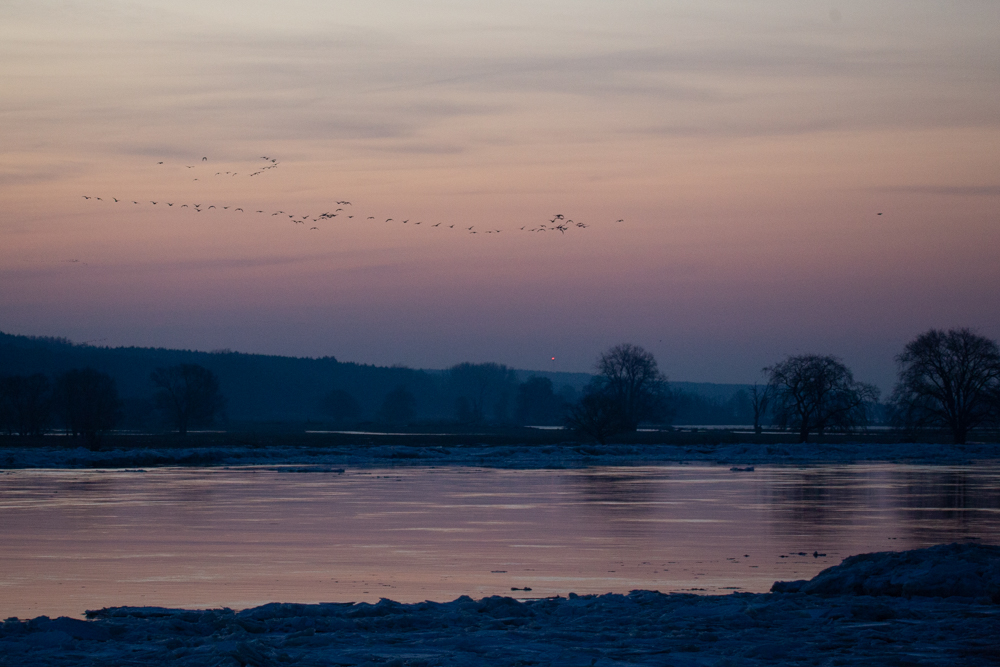 Bild1: Sonnenaufgang an der Oder 